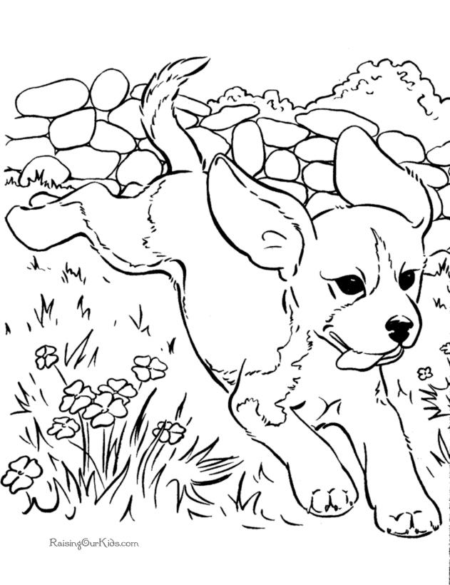 Realistic Coloring Pages Of Dogs At GetDrawings Free Download