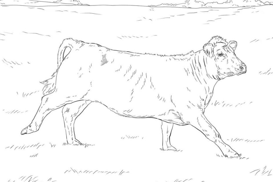 Realistic Cow Coloring Page Free Printable Coloring Pages For Kids