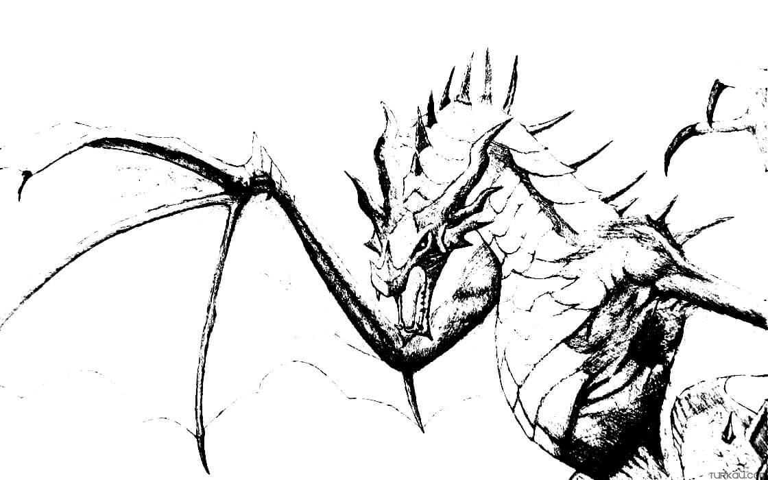 realistic dragon coloring page
