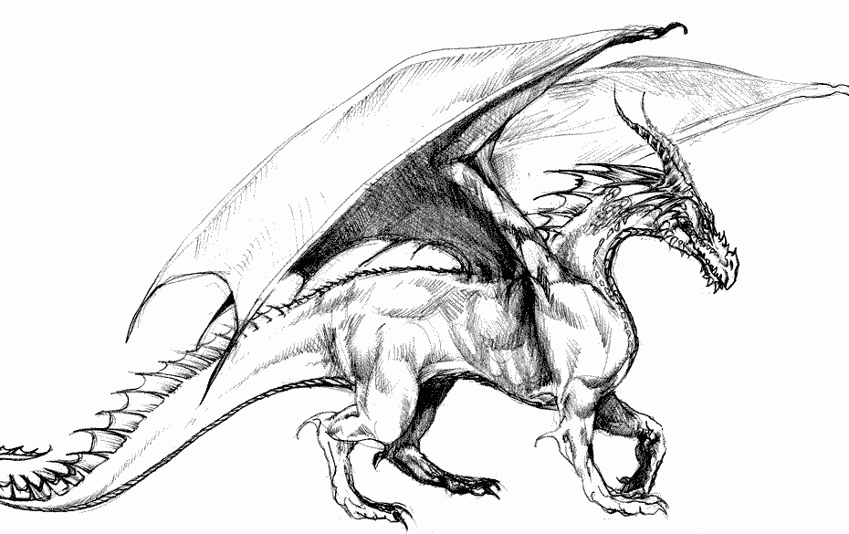 Realistic Dragon Coloring Pages For Adults Coloring Home