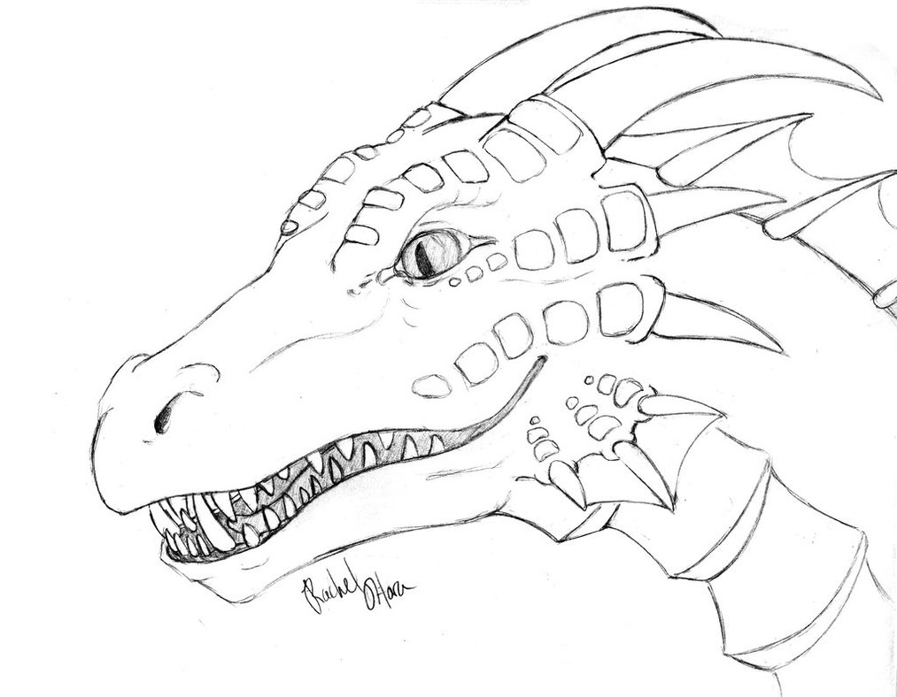 Realistic Dragon Coloring Pages For Adults Coloring Home