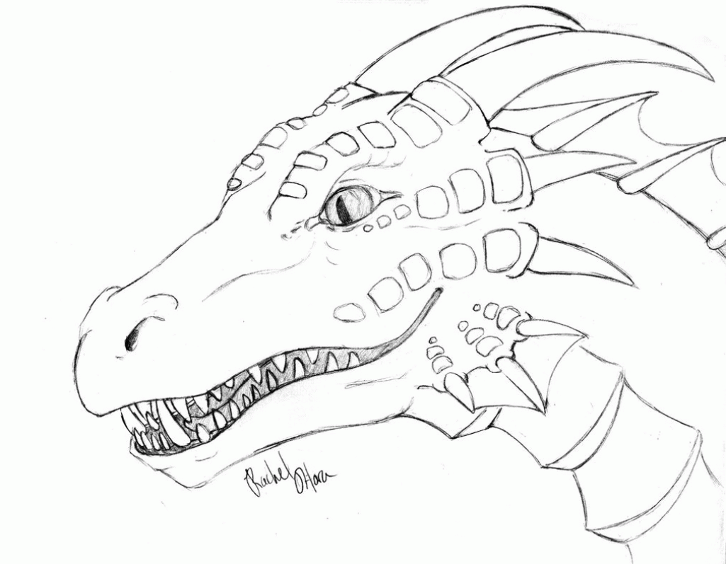 Realistic Dragon Coloring Pages For Adults Coloring Home