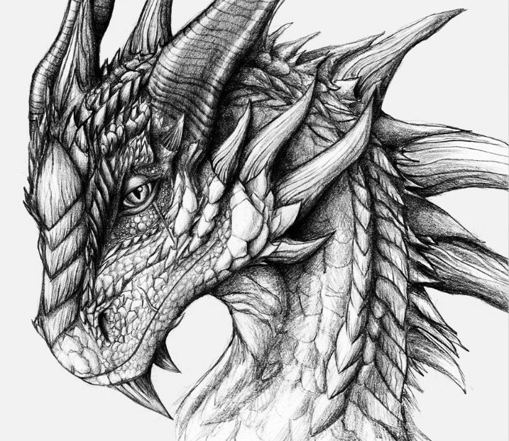 Realistic Dragon Coloring Pages Printable Dragon Colo Vrogue co
