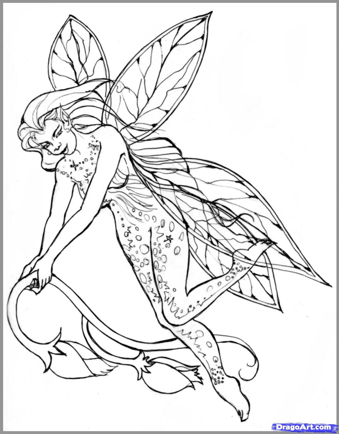 Realistic Fairy Coloring Pages At GetColorings Free Printable 