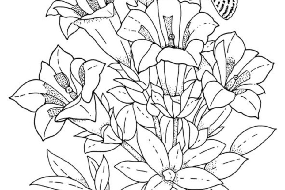 Realistic Flowers Coloring Page Printable