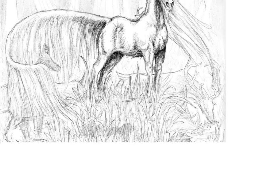 Realistic Hard Horse Coloring Pages Book For Kids