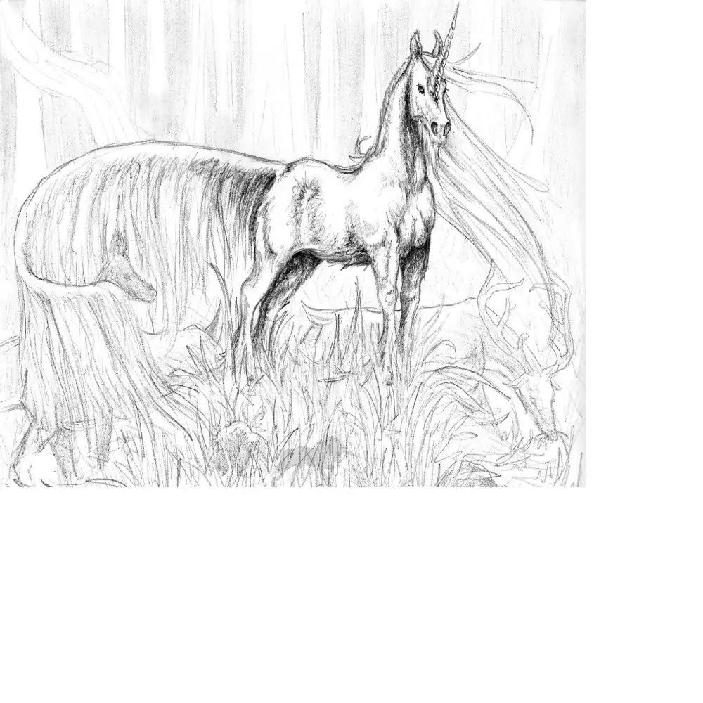 Realistic Hard Horse Coloring Pages Book For Kids 