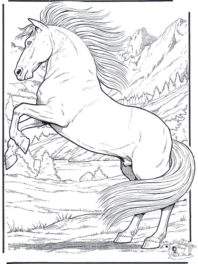 Realistic Horse Coloring Pages To Download And Print For Free