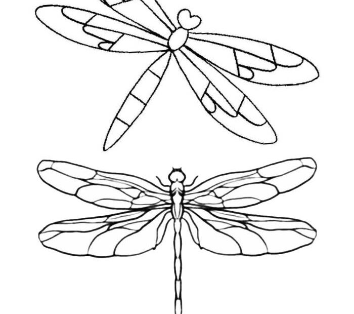 Realistic Insect Coloring Page