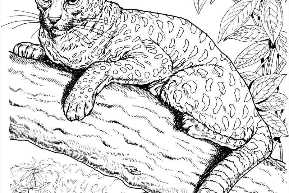 Realistic Jaguar Coloring Pages For Adults ColoringBay