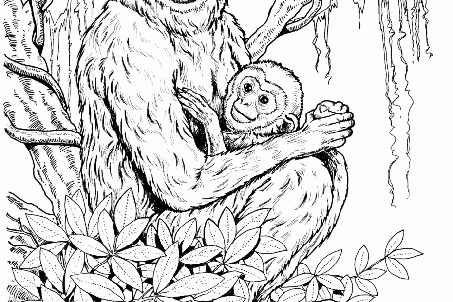 Realistic Monkey Coloring Pages Coloring Home