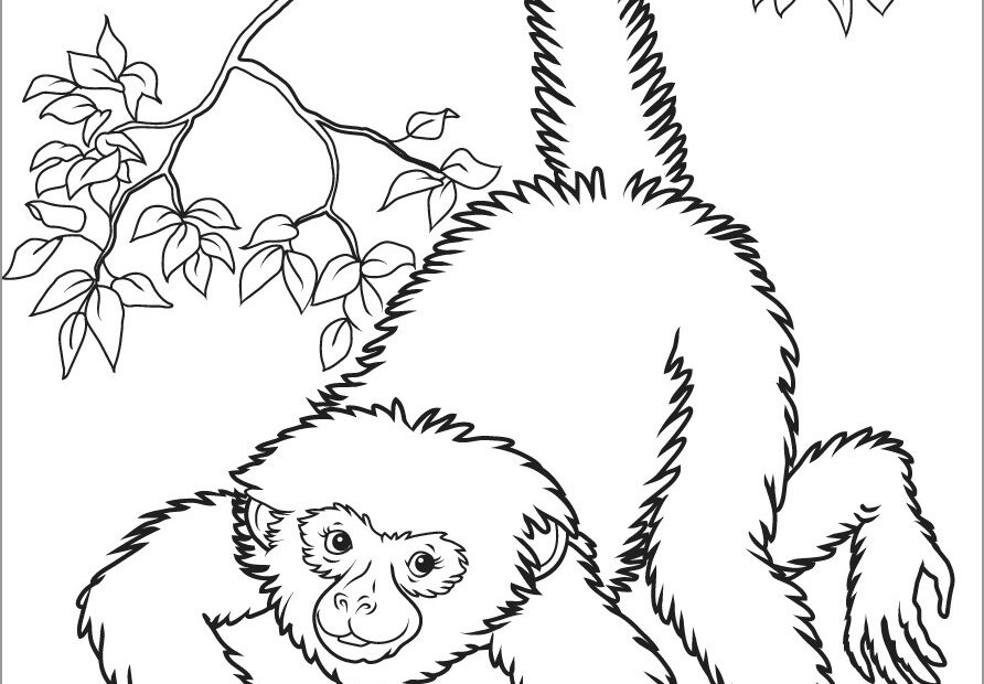 Realistic Monkey In A Tree Coloring Page ColoringBay