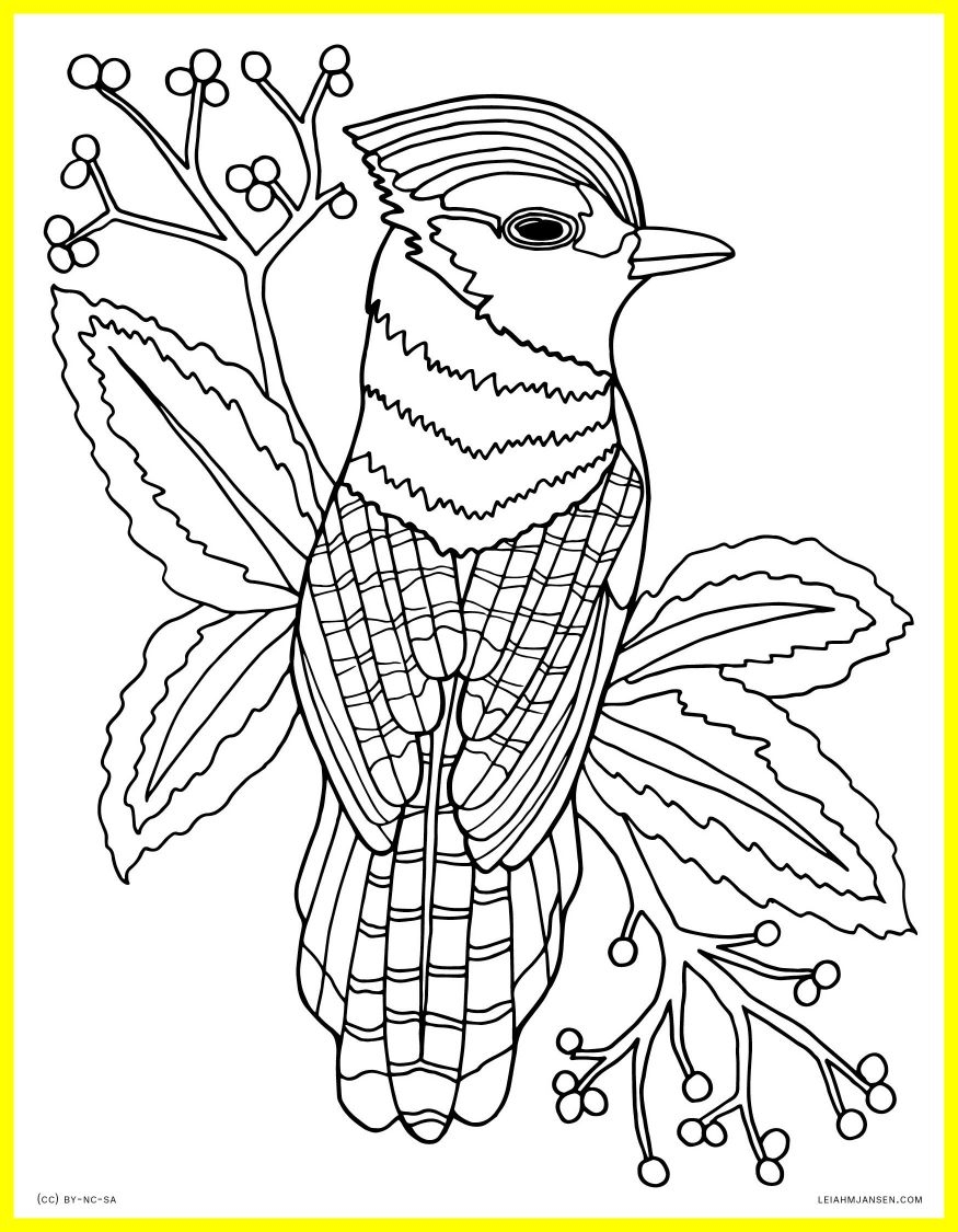 Realistic Nature Coloring Pages At GetColorings Free Printable 