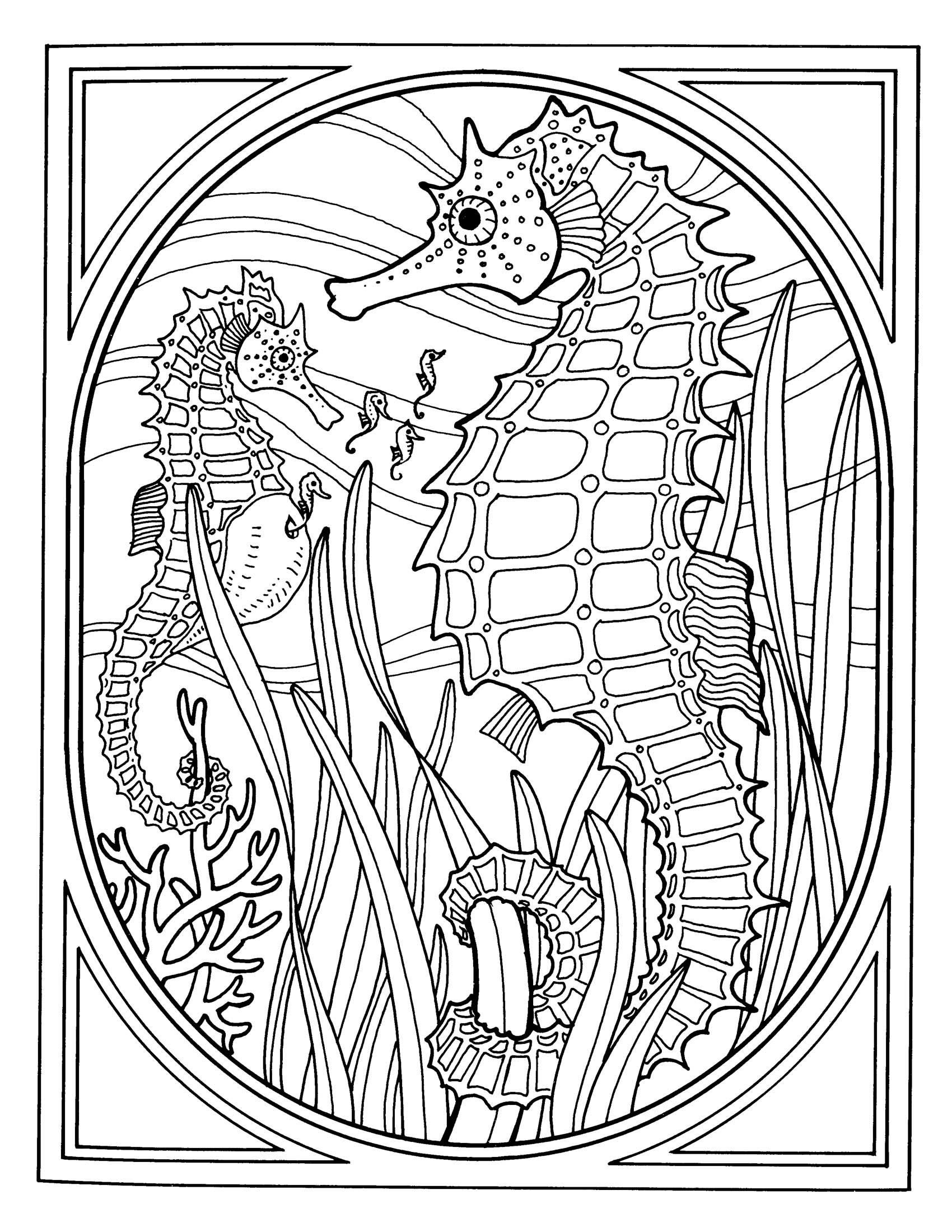 Realistic Ocean Animals Coloring Pages