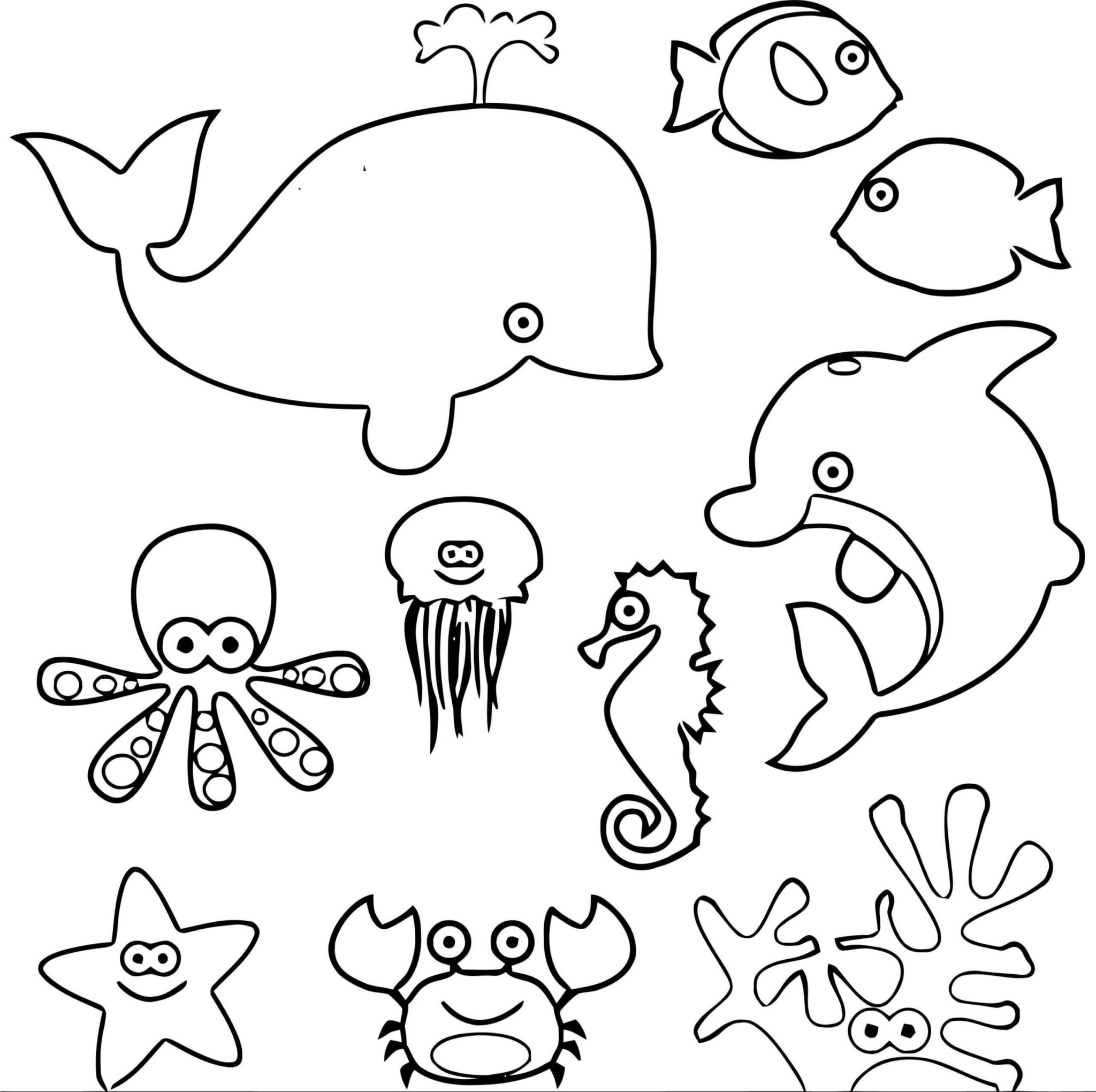 Realistic Ocean Animals Coloring Pages