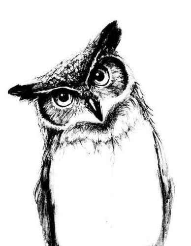 Realistic Owl Coloring Pages Turkau