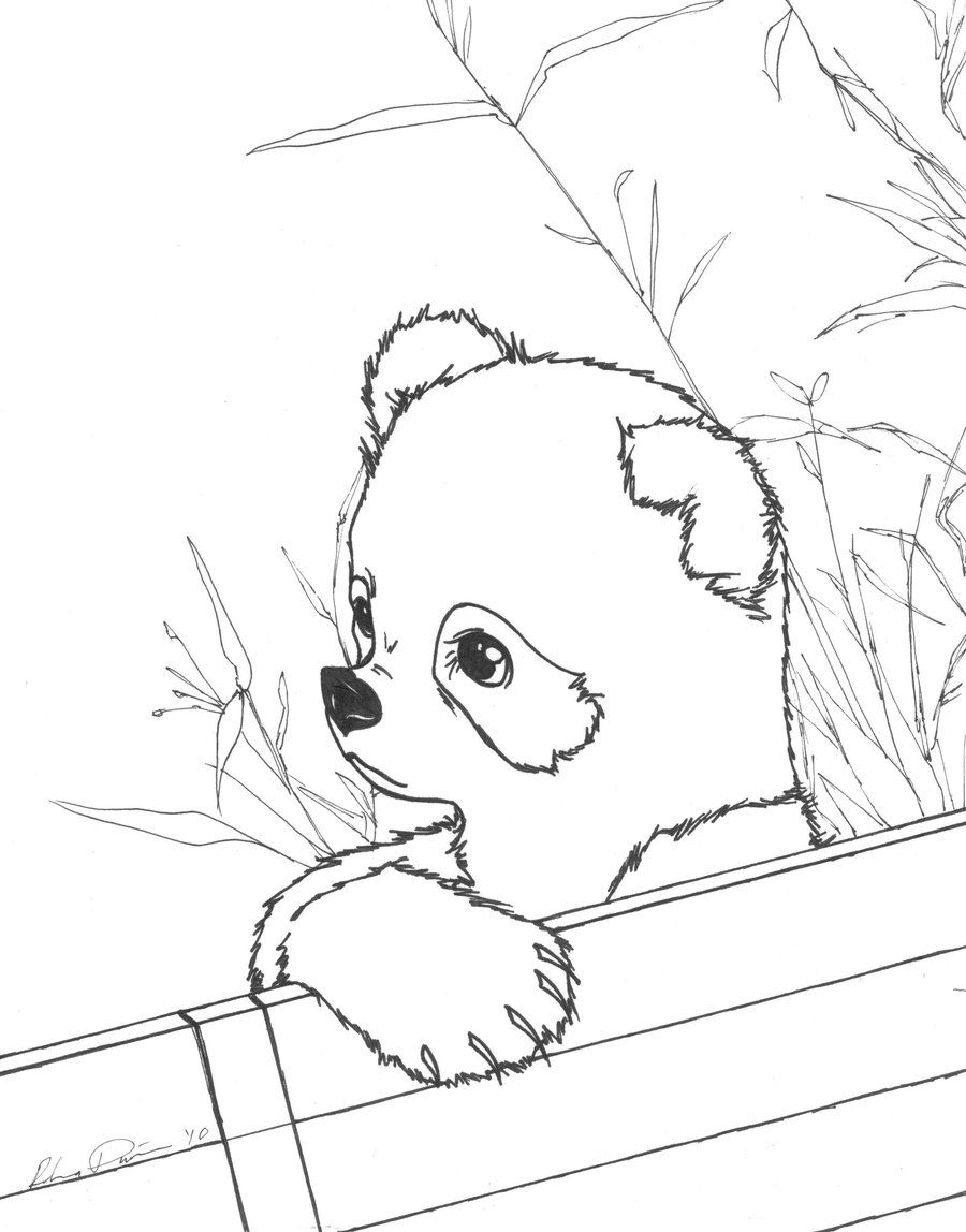Realistic Panda Coloring Pages Coloring Pages