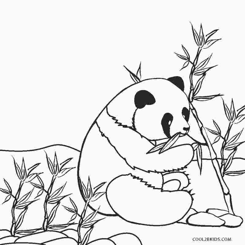 Realistic Panda Coloring Pages Coloring Pages