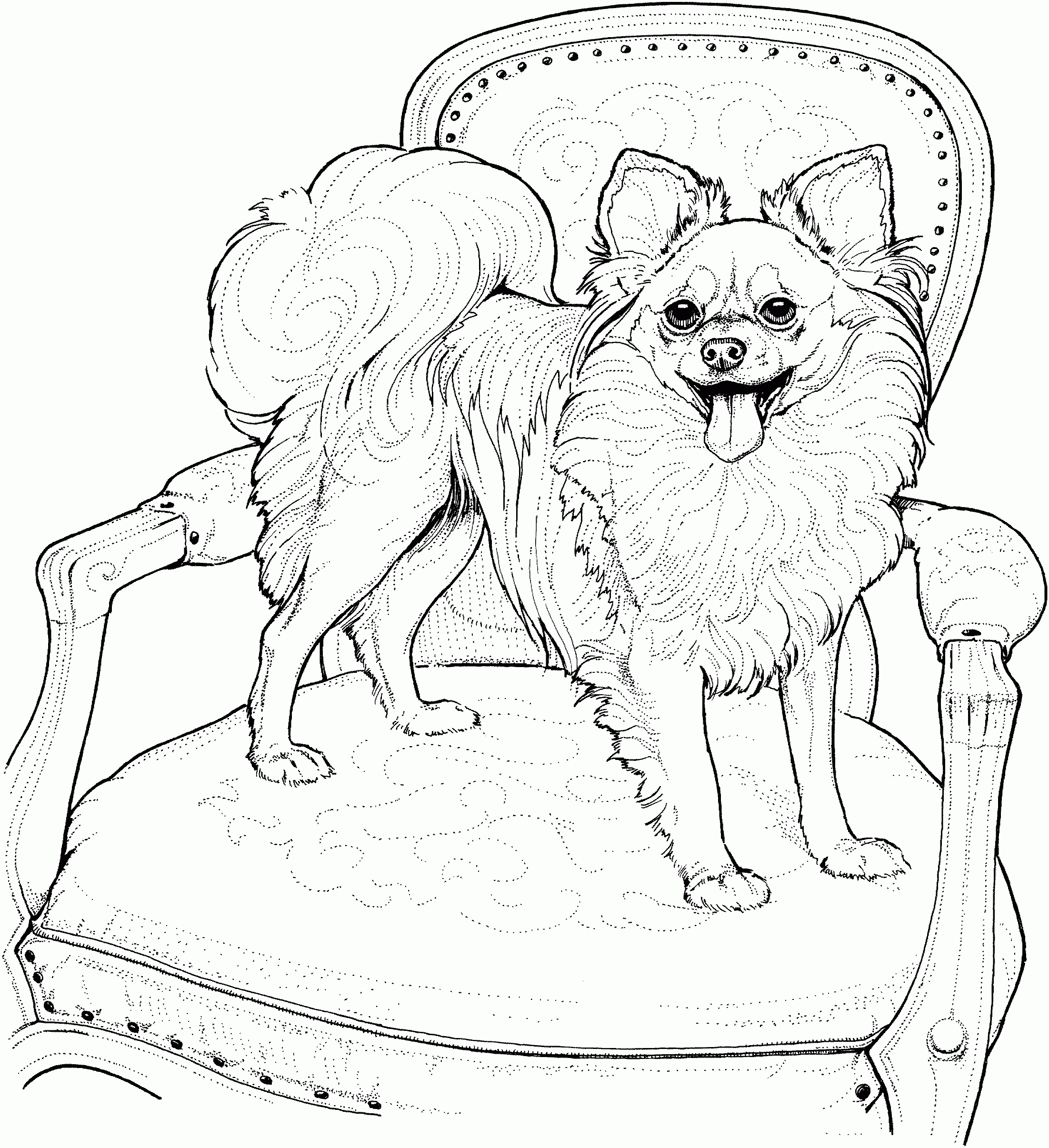 realistic puppy dog coloring pages