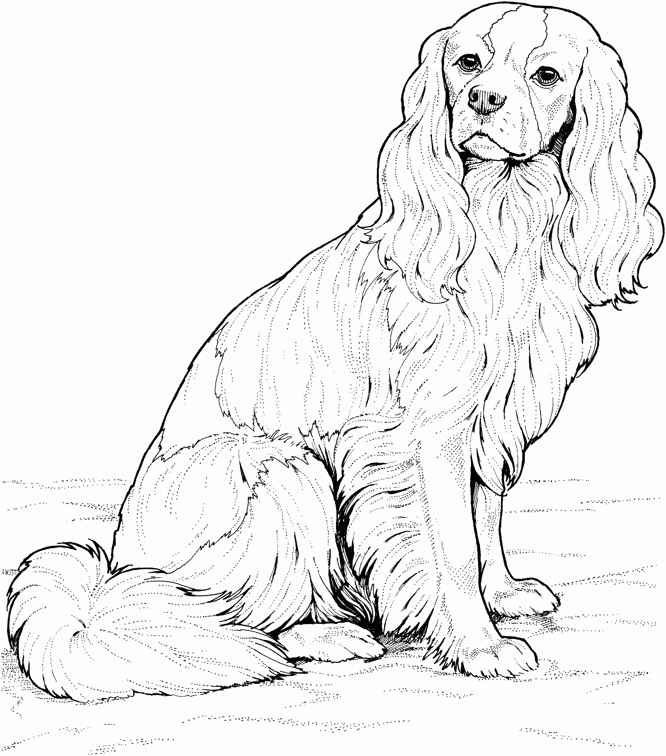 Realistic Puppy Dog Coloring Pages At NETJOSEBLOG Blog
