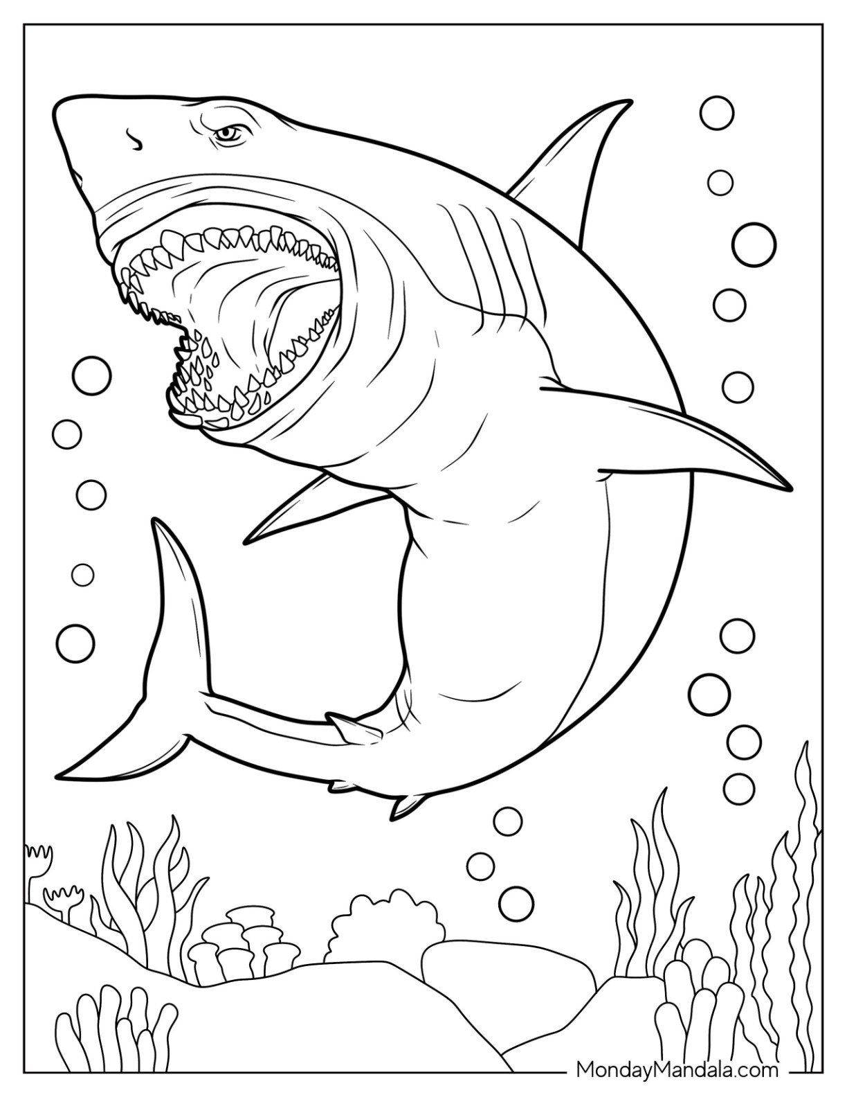 Realistic Shark Coloring Pages Photos And Vectors
