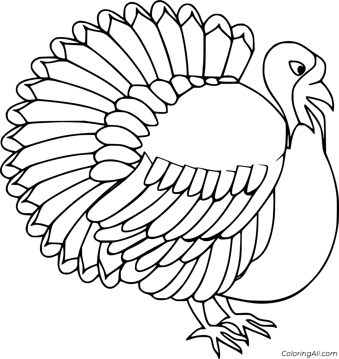 Realistic Turkey Coloring Pages 15 Free Printables ColoringAll