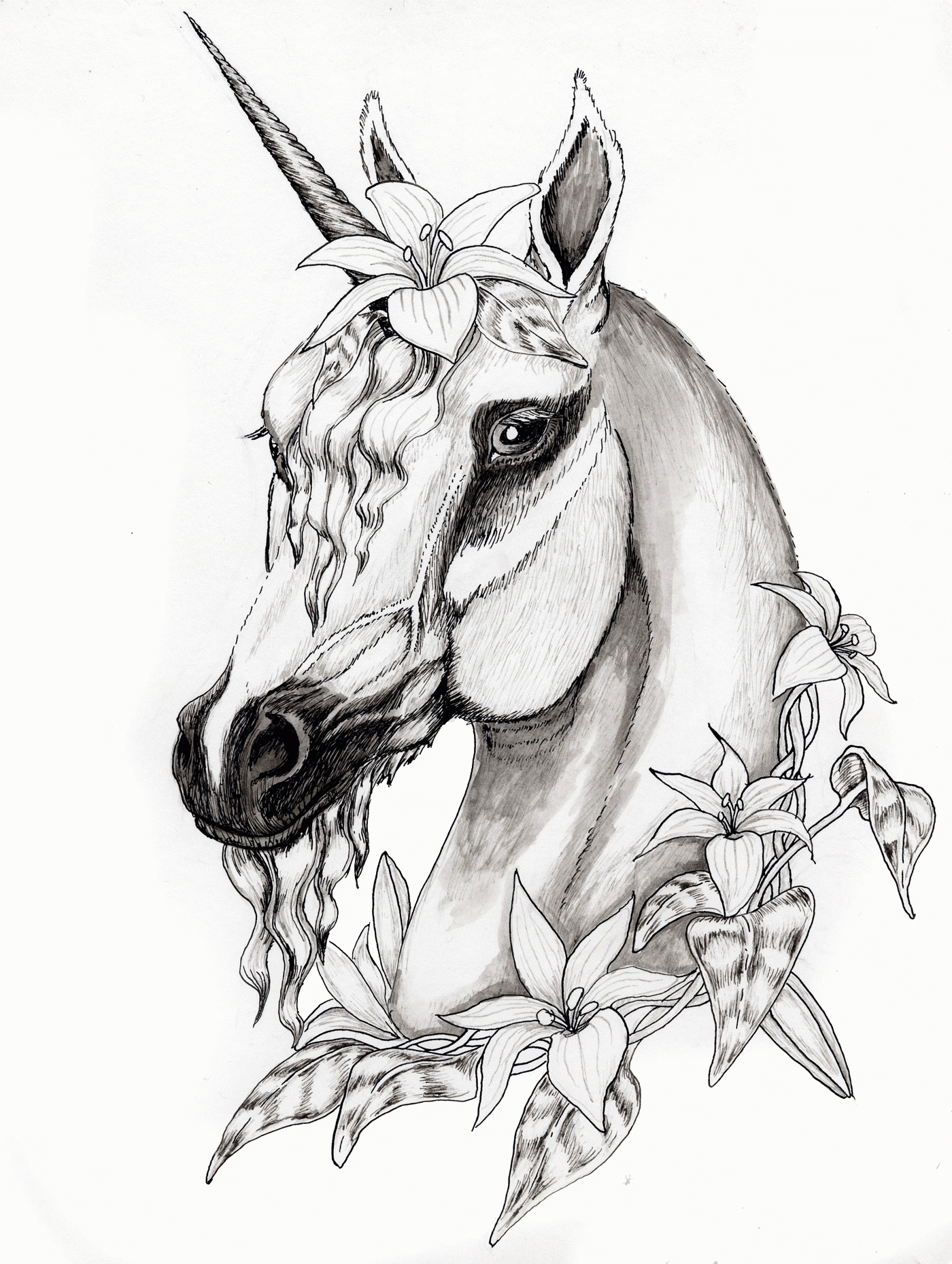 Realistic Unicorn Coloring Pages Coloring Home