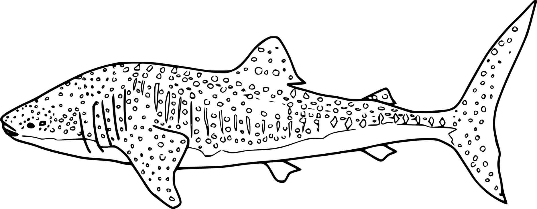 Realistic Whale Shark Coloring Pages Coloring Cool