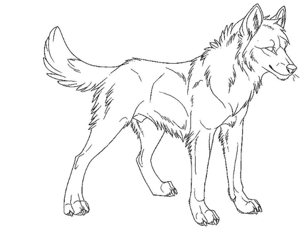 Realistic Wolf Coloring Pages To Print Coloring Home