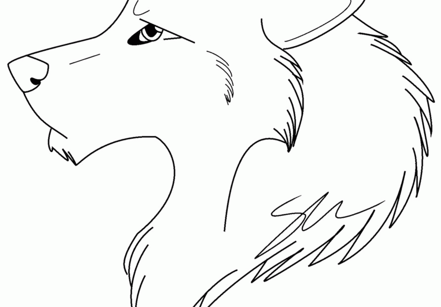 Realistic Wolf Coloring Pages To Print Coloring Home