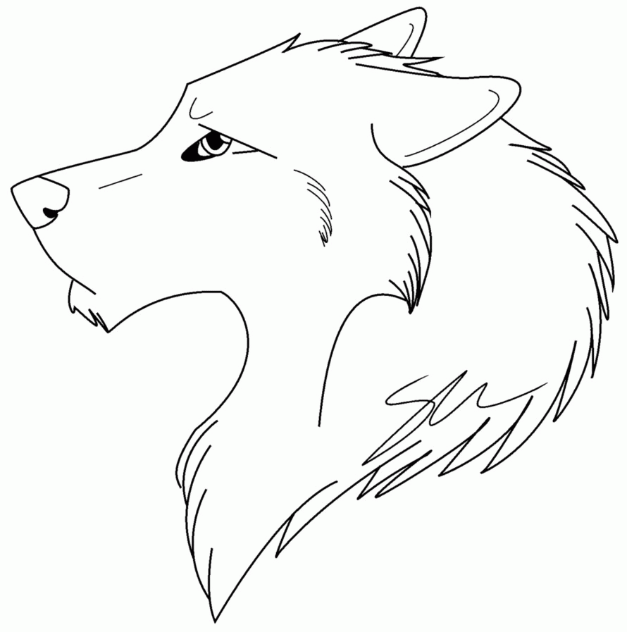Realistic Wolf Coloring Pages To Print Coloring Home