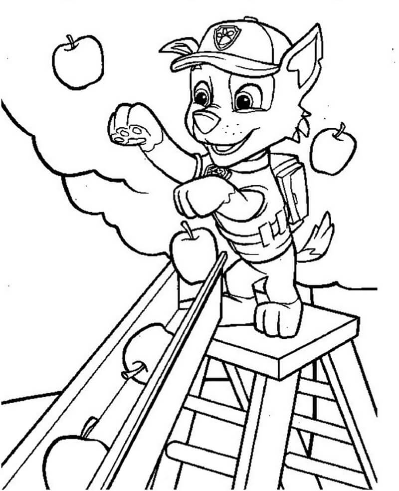 Rocky Picking Apples Coloring Page Free Printable Coloring Pages For Kids Rocky Picking Apples Coloring Page Free Printable Coloring Pages For Kids