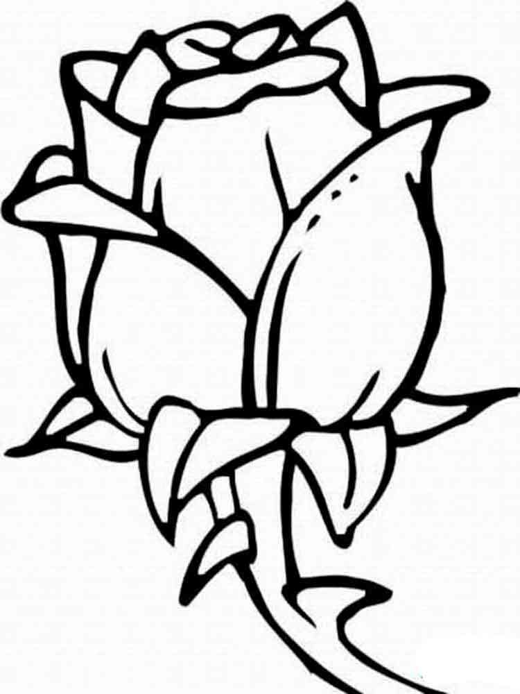 Rose Coloring Pages Rose Coloring Pages