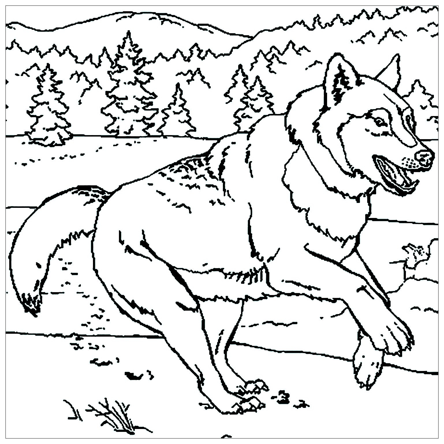 Running Wolf Wolf Coloring Pages