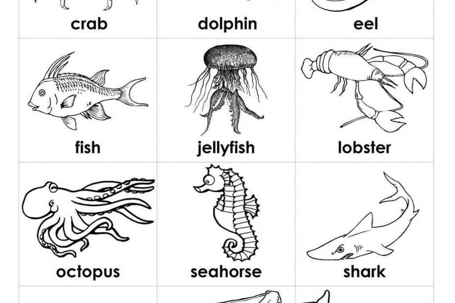 Sea Animal Printables Ocean Coloring Pages