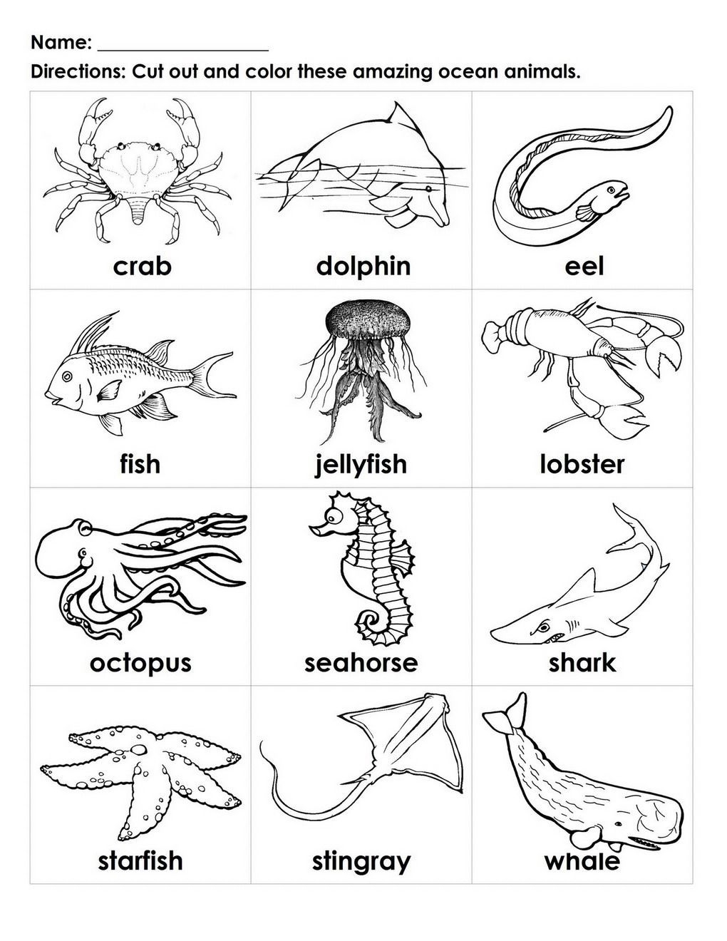 Sea Animal Printables Ocean Coloring Pages