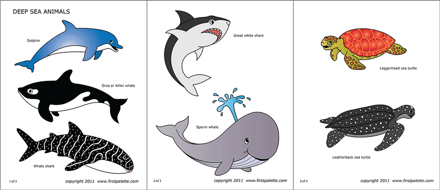 printable colored pictures of animals