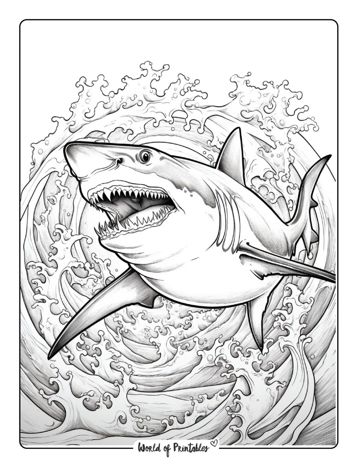 shark printable coloring page