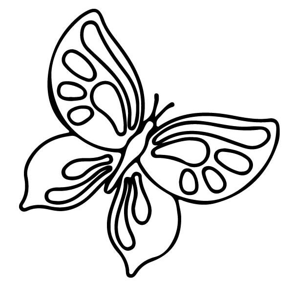 Simple But Pretty Butterfly