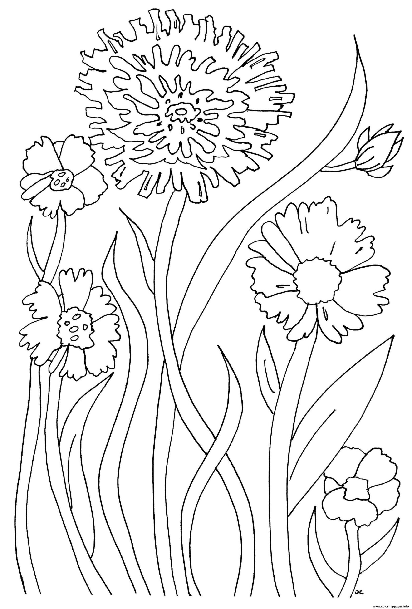 Simple Coloring Pages For Adults Printable