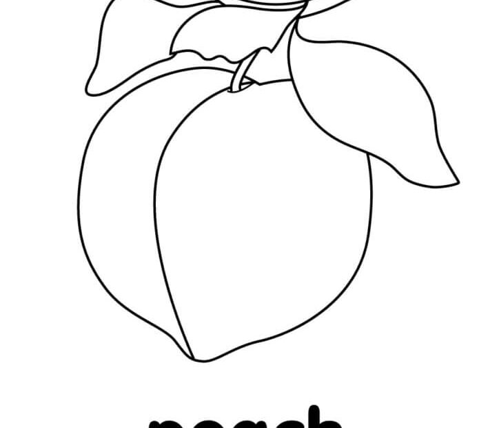 Simple Peach Fruit Coloring Page Free Printable Coloring Pages For Kids