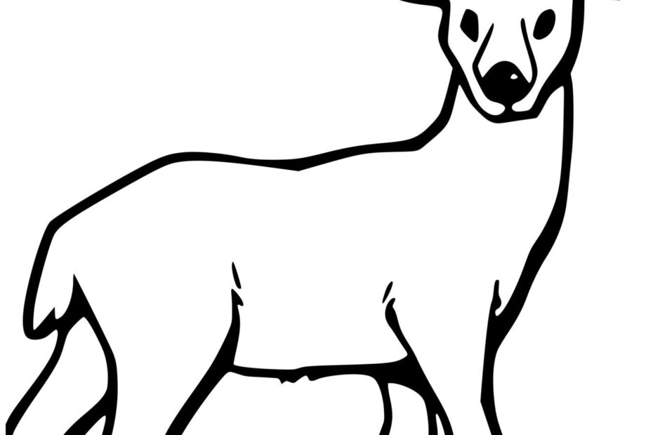 Simple Realistic Deer Coloring Page Printable