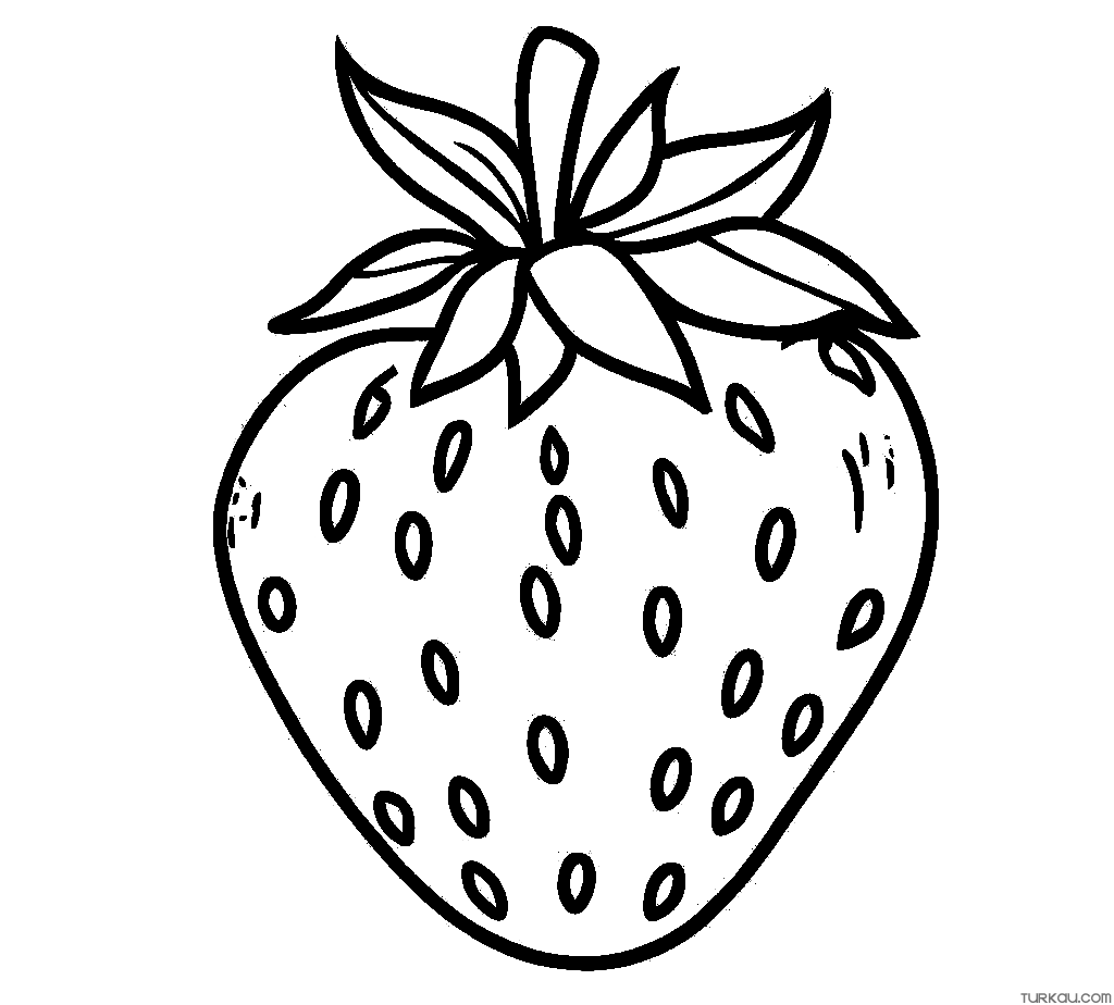 simple strawberry coloring page