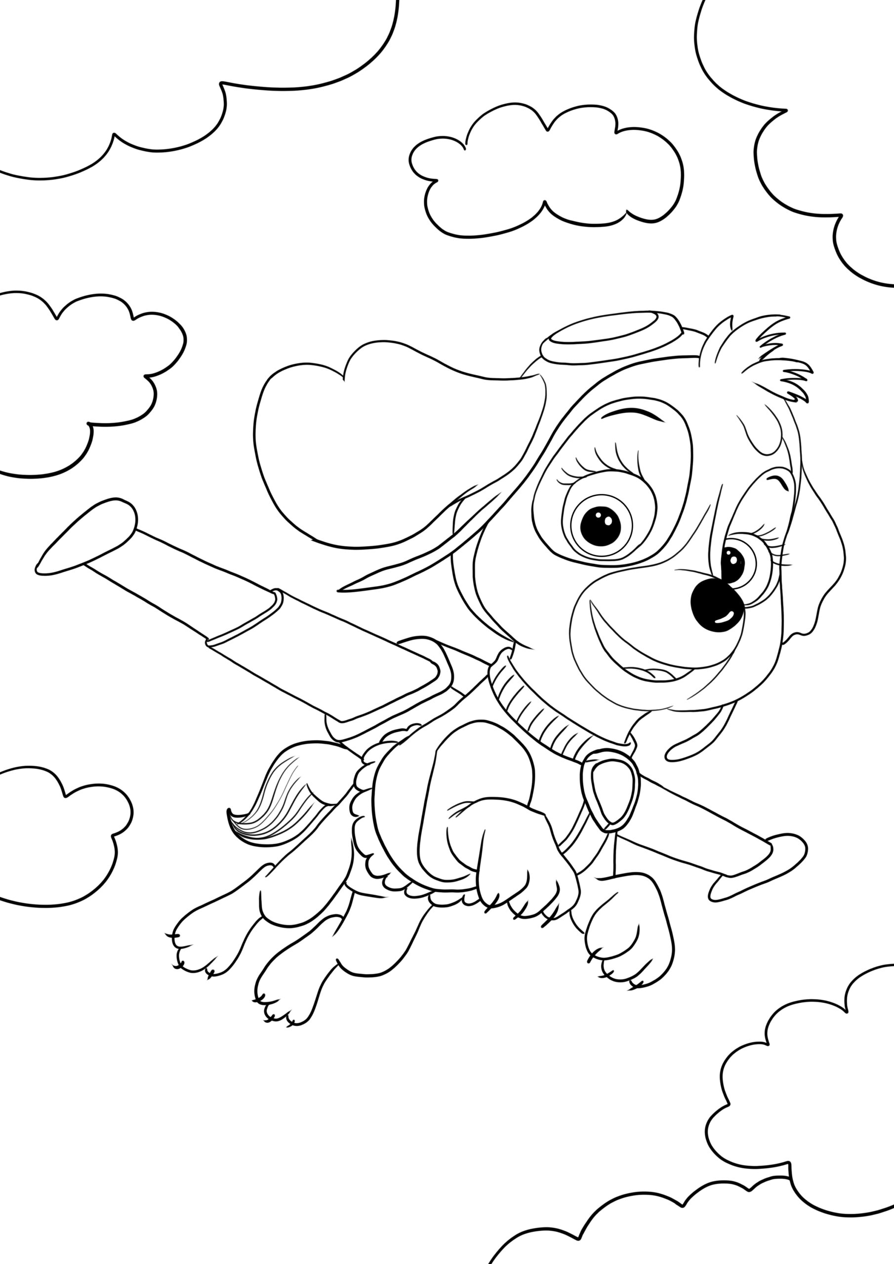 Sky From Paw Patrol Flying To Rescue Coloring Page For Free Print Sky From Paw Patrol Flying To Rescue Coloring Page For Free Print