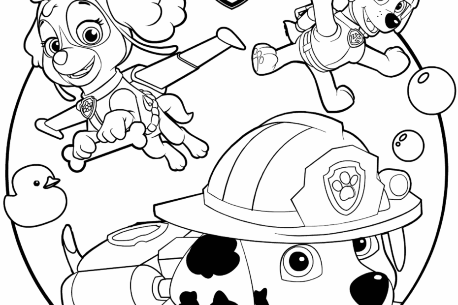 Skye Marshall And Rocky Paw Patrol Coloring Pages Printable