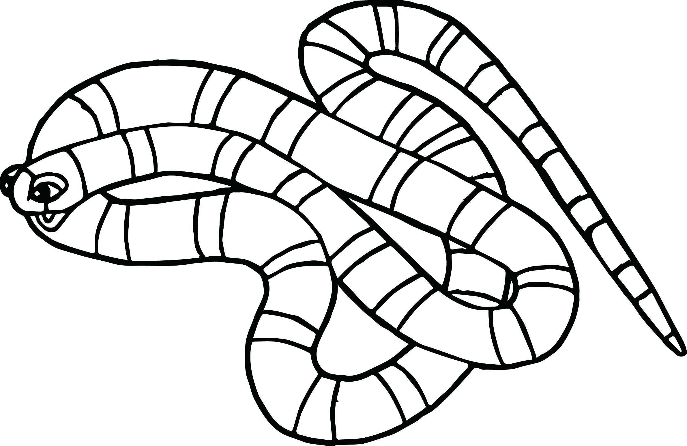 Snake Coloring Printable Coloring Pages