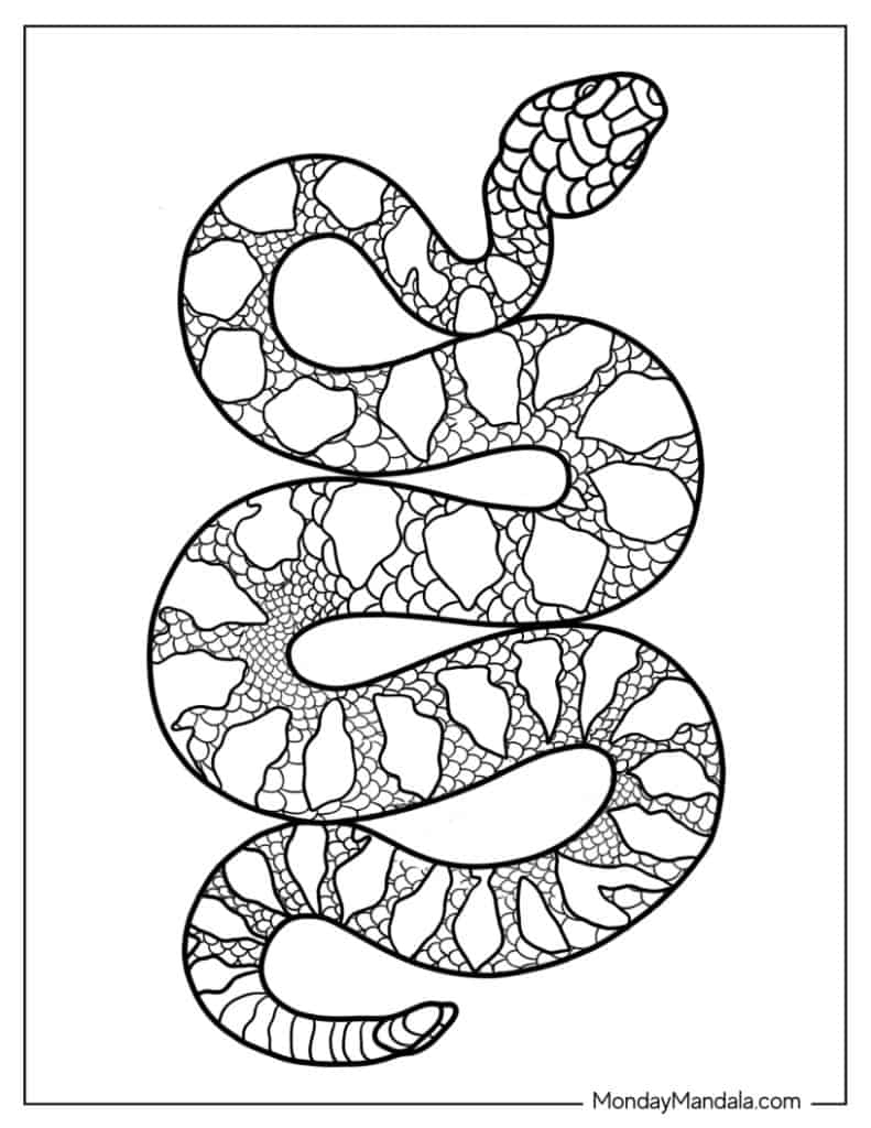 Snake Coloring Sheets For Free Printables Free Coloring Sheet 