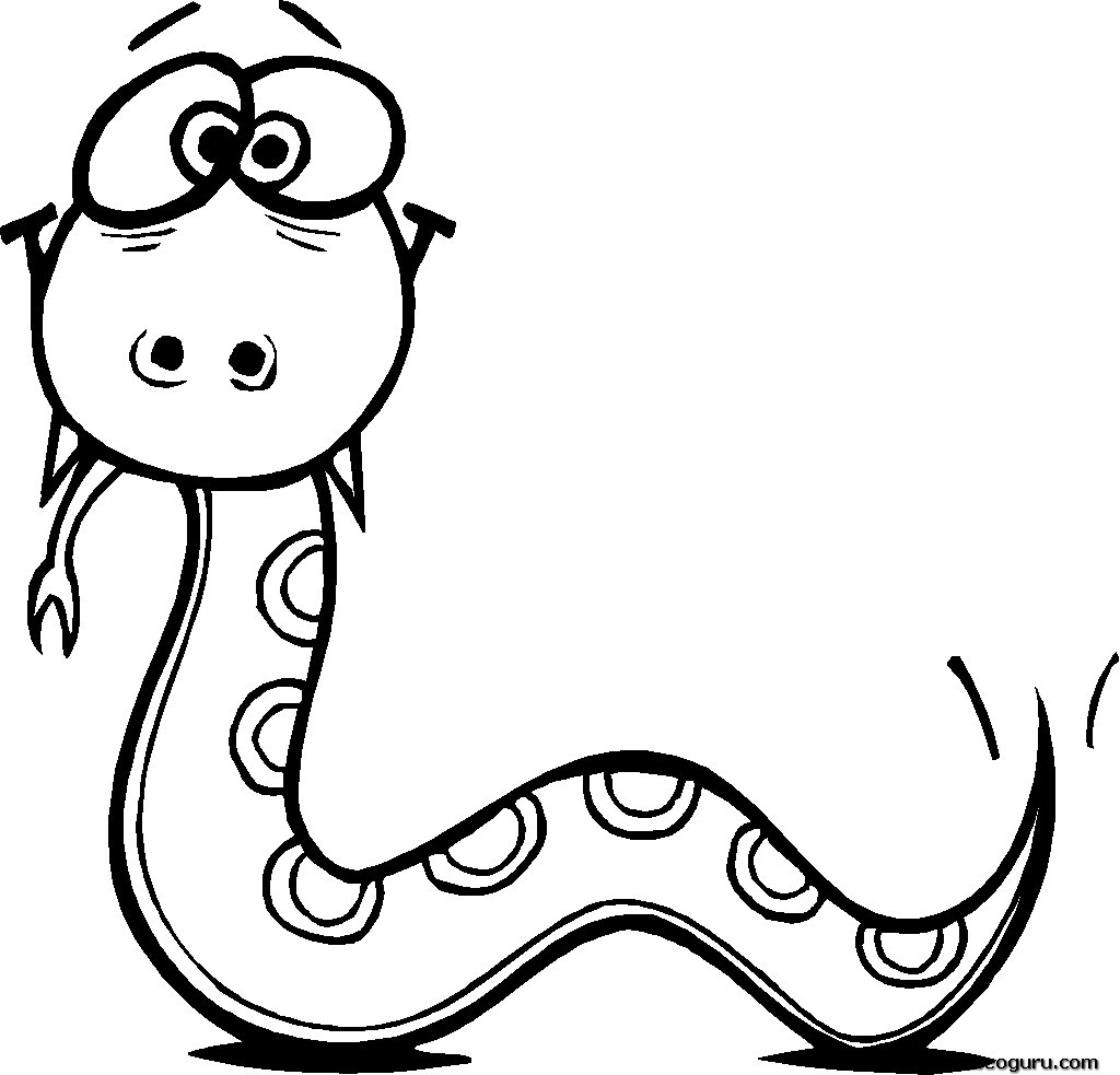 Snake Colouring Picture ClipArt Best