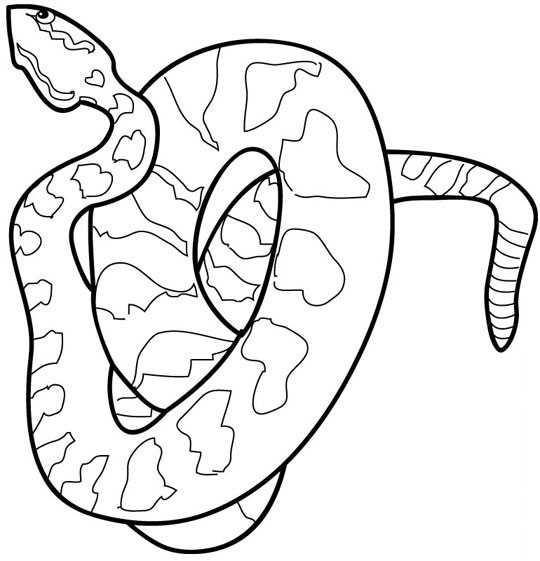 Snake Colouring Picture ClipArt Best