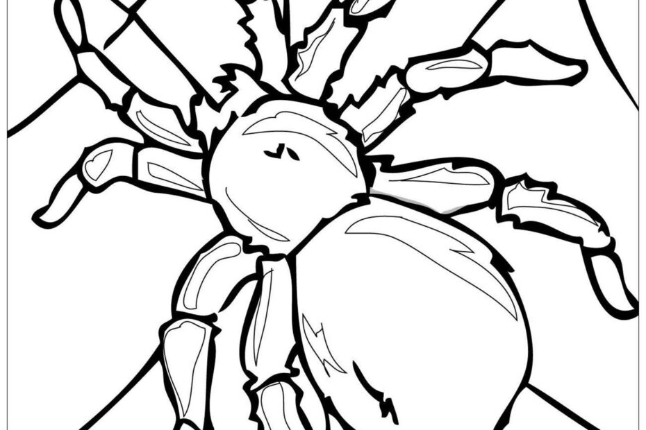 Spider Insects Coloring Page For Kids